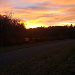 Meet your Posher, Tori